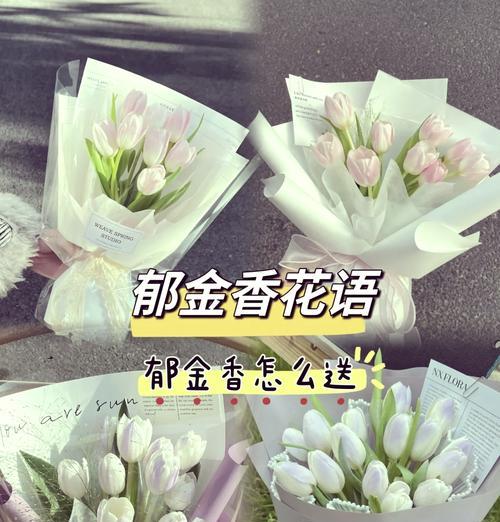 郁金香颜色花语如何表达情感？不同颜色郁金香代表什么？