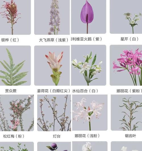 三支花组合的寓意是什么？送三支花有何特别含义？