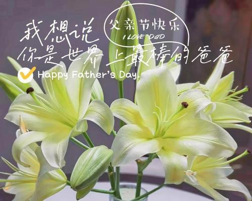 送父亲的花应该选择哪种？
