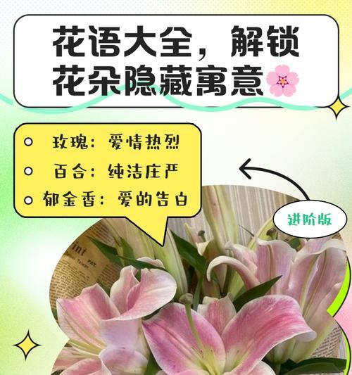 初恋花语的特别含义是什么？