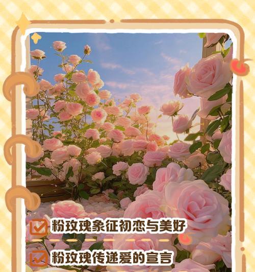 初恋花语的特别含义是什么？