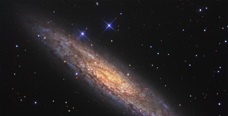 星辰花的花语神秘在哪里？如何探索其宇宙奥秘？