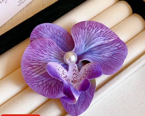 紫色彼岸花的含义及其在传说中的角色是什么？