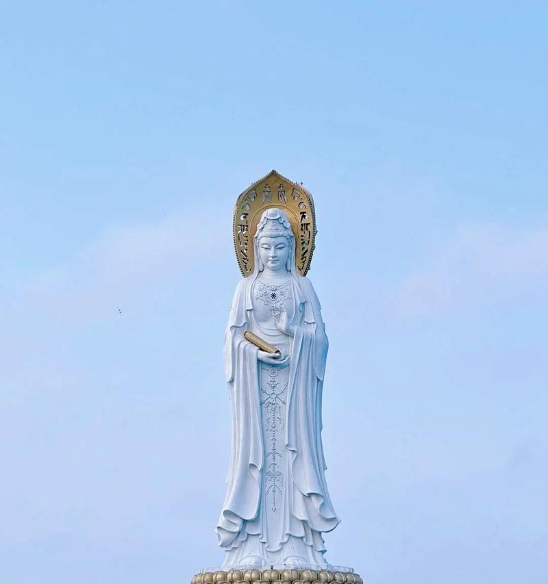 观音花白色品种的含义是什么？白色观音花的象征意义？
