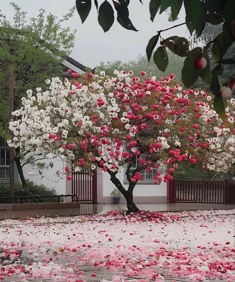 友谊树上开的花有哪些？它们的象征意义是什么？