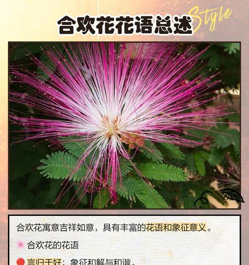 你知道各种花草的寓意及花语吗？