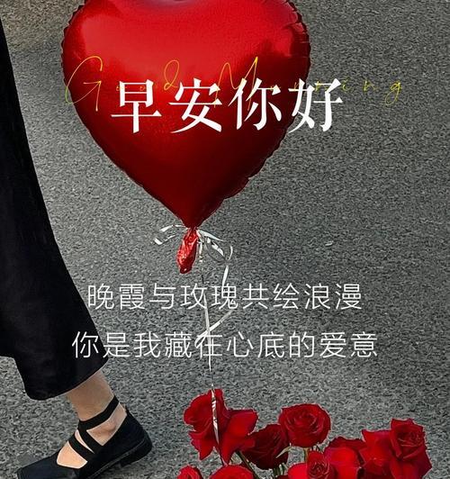 红色玫瑰的含义是什么？花语代表什么？