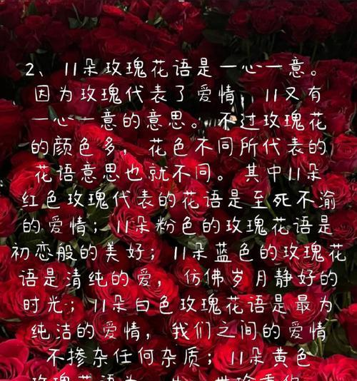 红色玫瑰的含义是什么？花语代表什么？