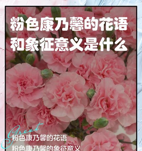 其寓意和含义是什么？