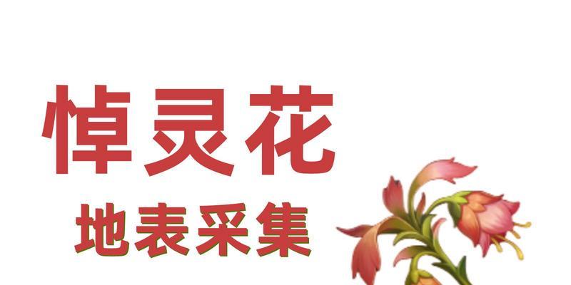 须弥花的特殊含义是什么？