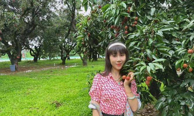 红荔枝花代表什么含义？荔枝花有何深意？