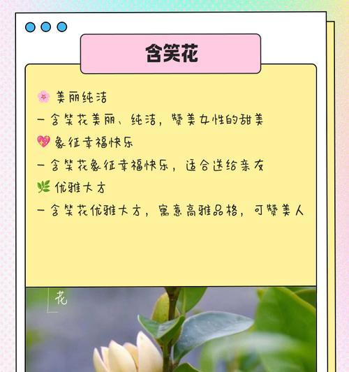 珍惜的花语是什么？探索花卉象征珍惜的意义。