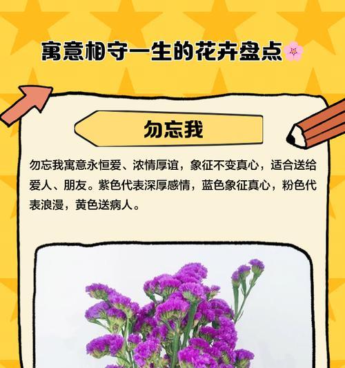 珍惜的花语是什么？探索花卉象征珍惜的意义。