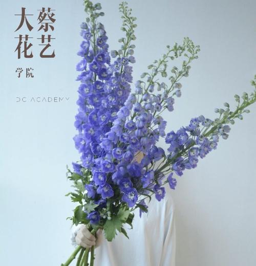 哪种花代表自由？自由的花语有哪些？