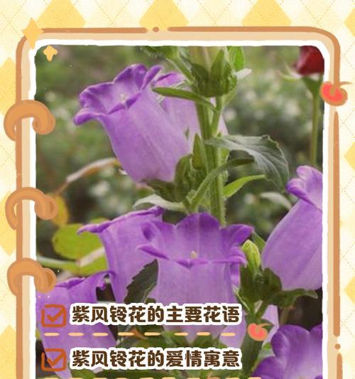 手工花的花语有何特别含义？手工花在表达情感时有哪些独特之处？