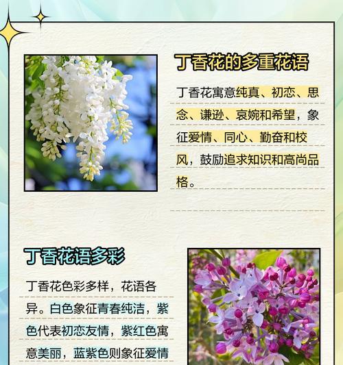 手工花的花语有何特别含义？手工花在表达情感时有哪些独特之处？