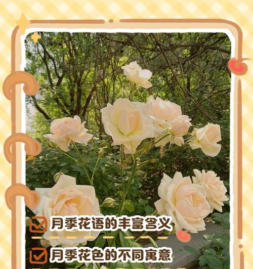 手工花的花语有何特别含义？手工花在表达情感时有哪些独特之处？