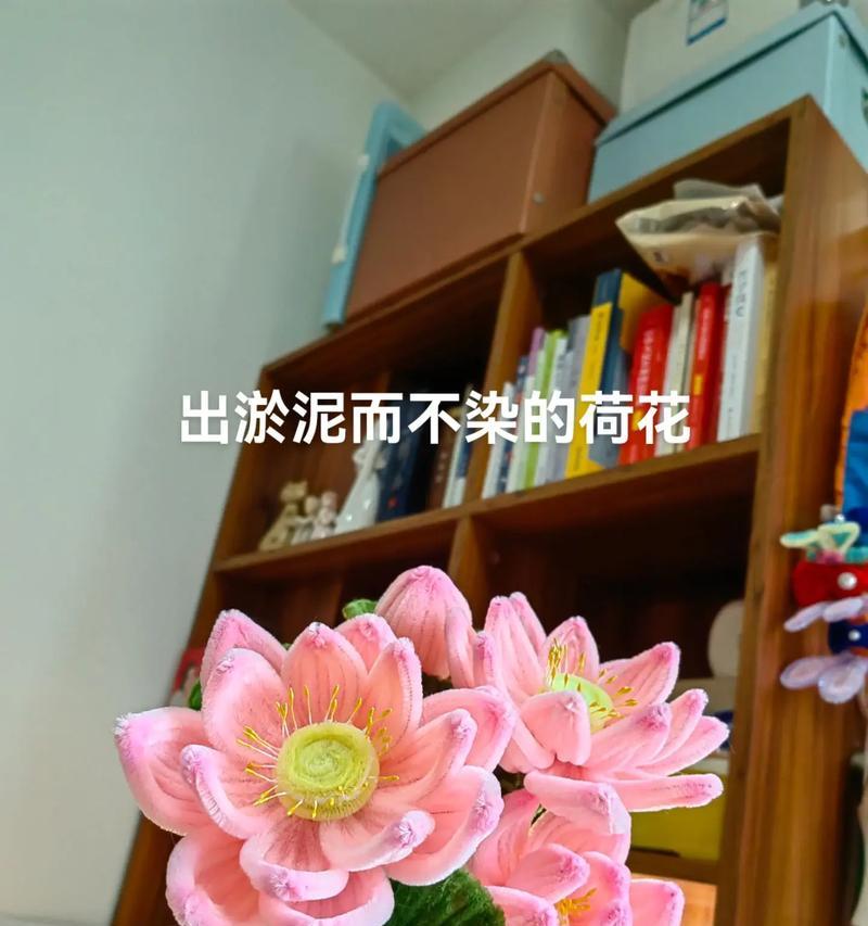永不凋谢的花的象征意义是什么？永不凋谢的花代表了什么？