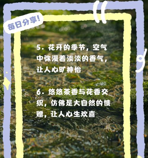 花的语言是什么？花的语义和象征意义有哪些？