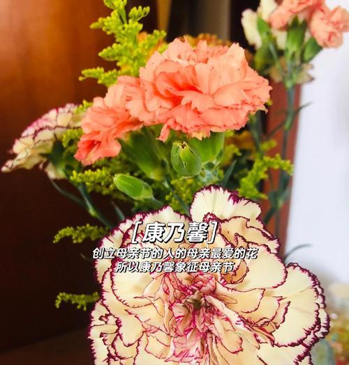 这些花代表了什么？