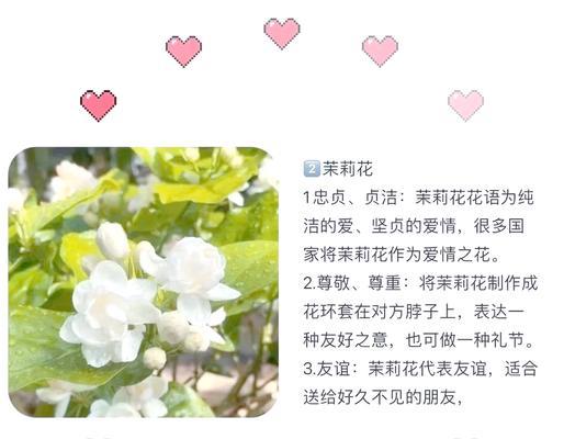 花的寓意是什么？