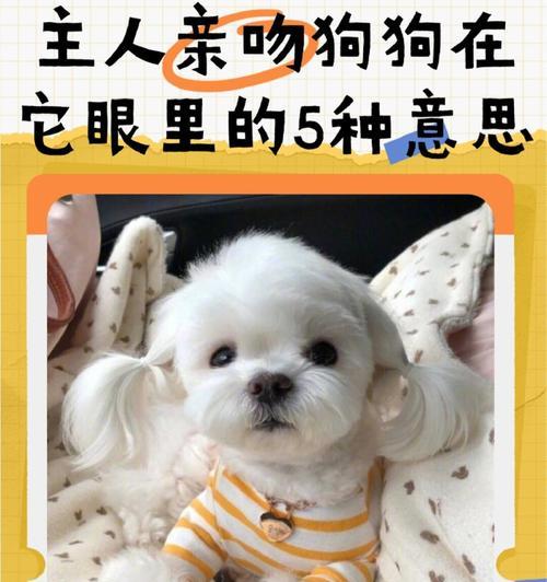 它的含义有哪些？