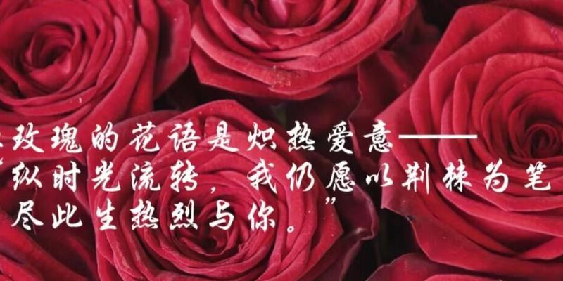 这些花的花语是什么？
