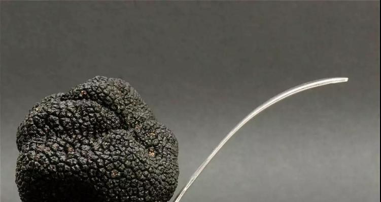 松露花的象征意义是什么？