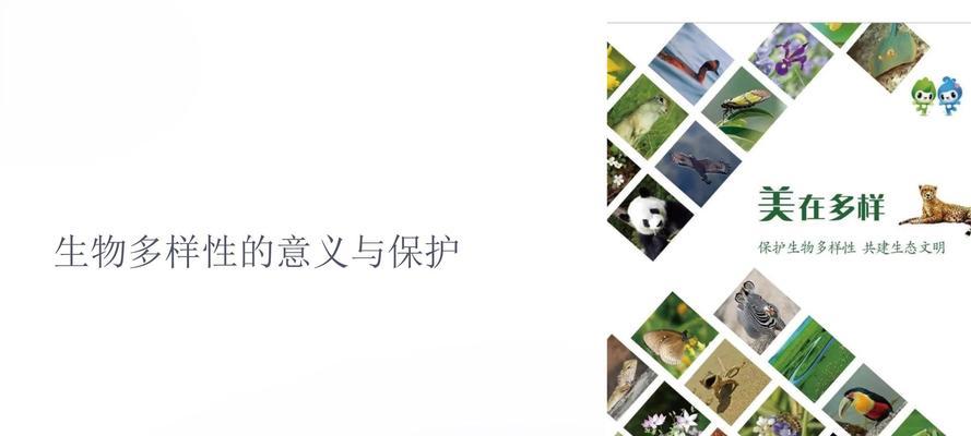 它们的象征意义是什么？