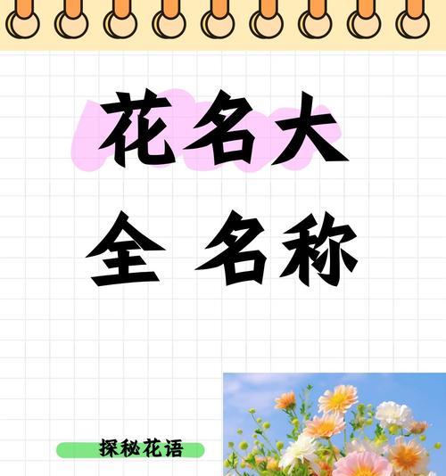 花卉的象征意义有哪些？