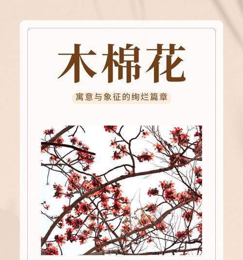 花卉的象征意义有哪些？