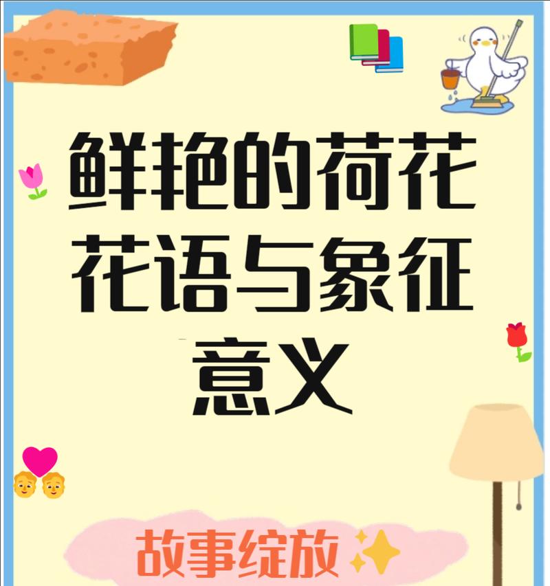 荷花的花语和象征意义是什么？