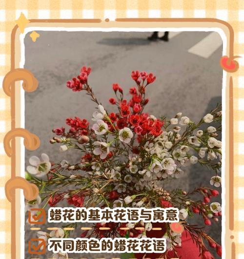 花的起源及其含义是什么？