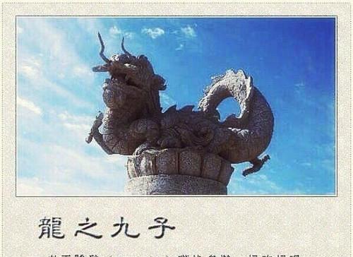 它们各自代表了什么？