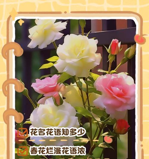 以象征精神的植物为主题的文章（探寻植物中的力量）