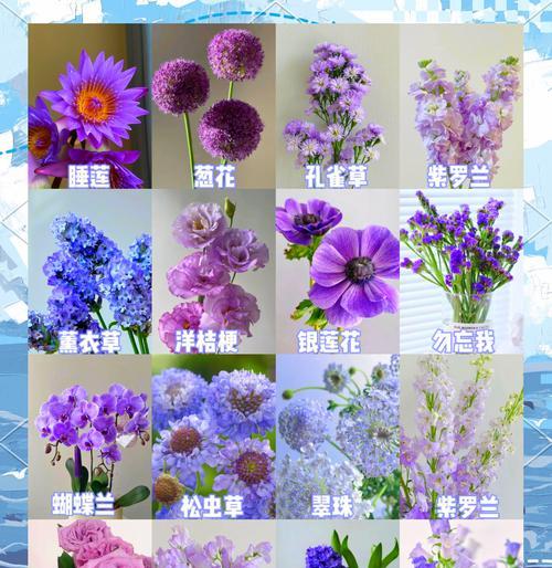 辛夷花的花语与含义（探索辛夷花所传达的情感和寓意）