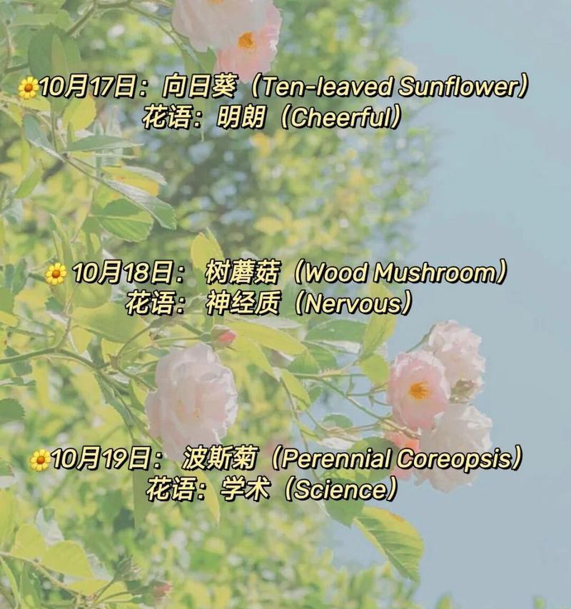 蓝色妖姬的花语及适合赠送对象剖析（探索蓝色妖姬花语的深层寓意，挑选合适的人送上这份美丽）