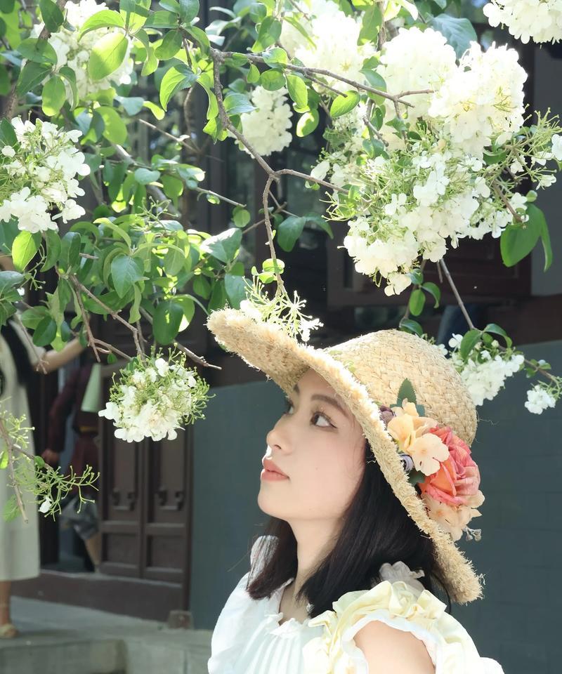 无尽夏绣球花语的魅力（探秘绣球花语的意义与传承）