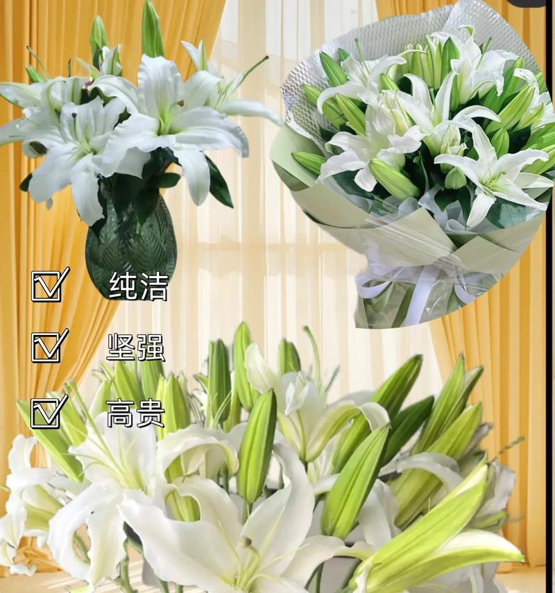 百合花的花语和含义（揭示百合花的深层寓意，传递爱与纯洁的象征）