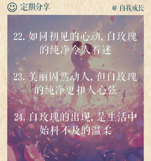探秘白玫瑰的花语（白玫瑰的神秘意义及其象征之道）