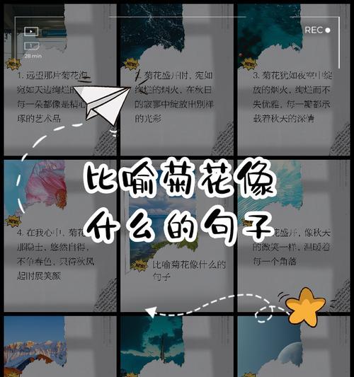 小菊花花语解读（探寻小菊花的花语，解读平凡中的真实之美）