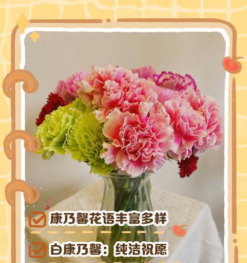 康乃馨花语和寓意（康乃馨的浪漫与深情，以及它所传达的特殊含义）