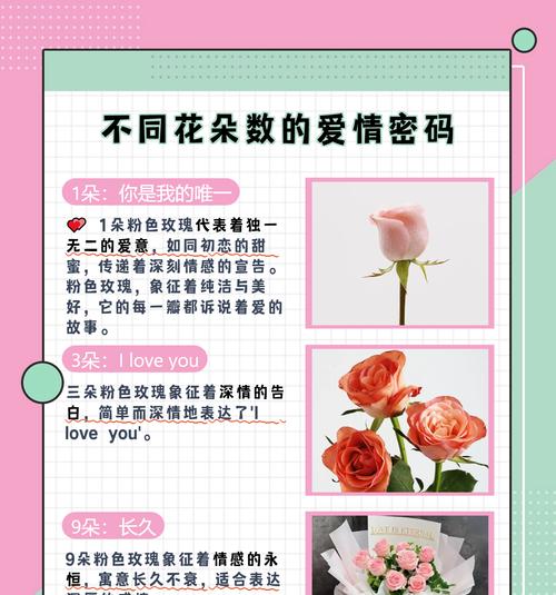 粉玫瑰花语与寓意解析（美丽的粉玫瑰传递情感与祝福）