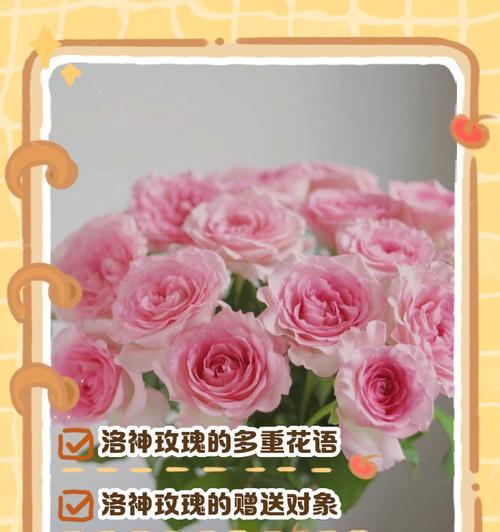 粉玫瑰花语与寓意解析（美丽的粉玫瑰传递情感与祝福）