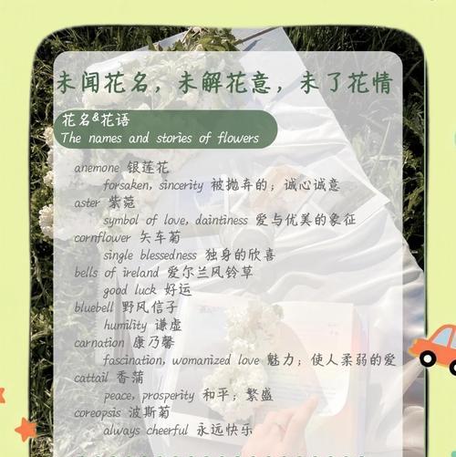 萱草花语与寓意（揭秘萱草的神秘花语，探寻其背后的深刻寓意）