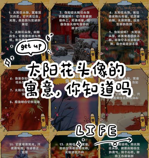 以太阳花的象征意义——希望和坚韧（以太阳花的鲜艳绽放，映射人们内心的勇敢和力量）