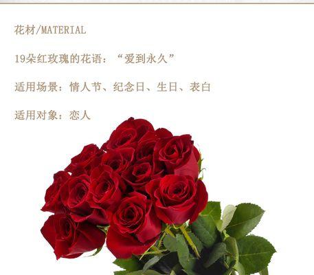 红玫瑰的花语与代表的含义（传递爱与热情的经典之花）