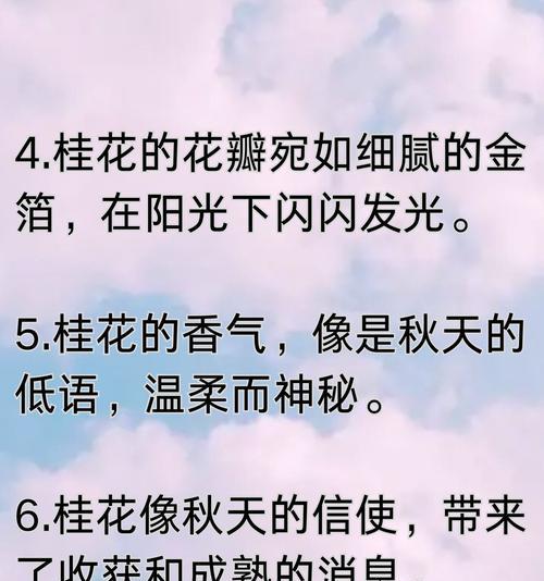 桂花的花语与寓意（桂花的美丽花语及其象征的丰收和温馨）