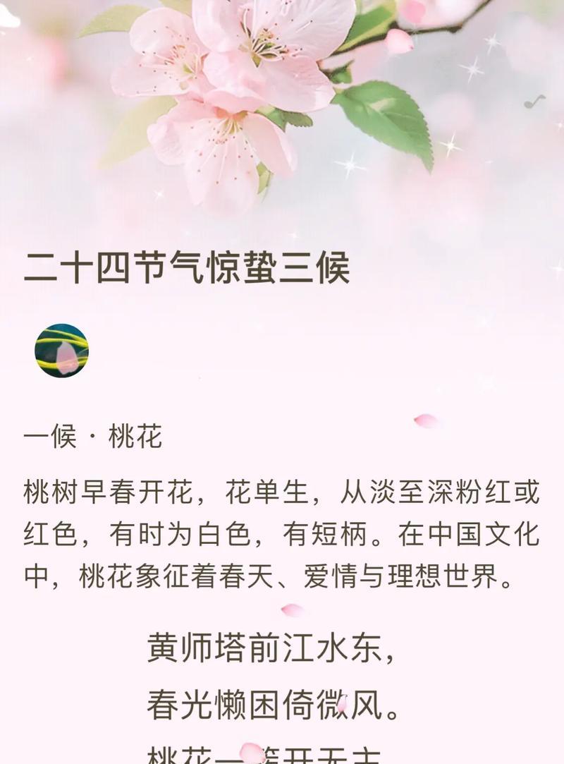 桃花的寓意与象征（桃花的美丽与祝福）