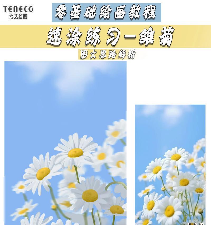 小雏菊花语的含义与传说（探索小雏菊花语的深层意义及其文化背景）
